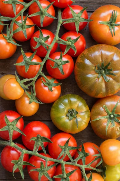 Costoluto fresco y tomates cherry —  Fotos de Stock