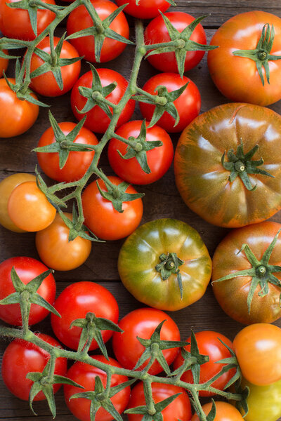 Fresh costoluto and cherry tomatoes