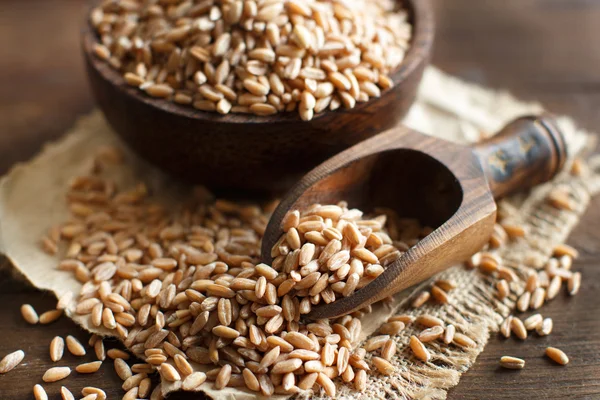 Farro intero crudo in una ciotola con un cucchiaio di legno — Foto Stock