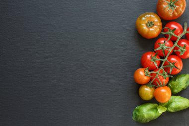 taze domates ve fesleğen 