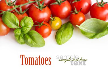 Çeri domates ve fesleğen