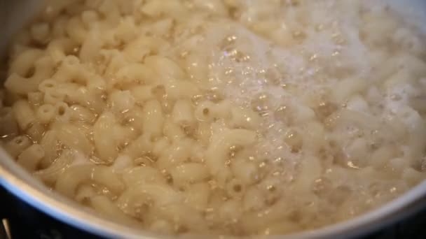 Cottura della pasta in acqua bollente — Video Stock