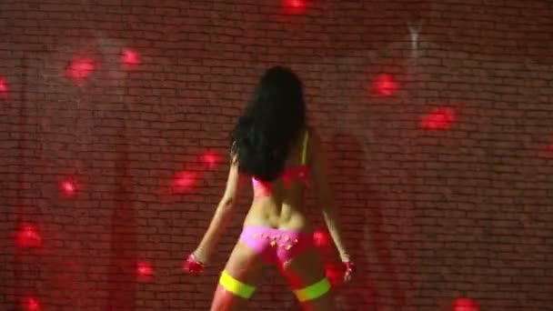 Vacker sexig tjej dansar go go. — Stockvideo