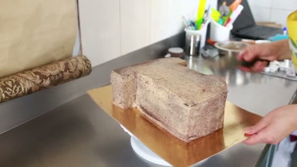 Chef pâtissier décore un gâteau dans un magasin de bonbons — Video