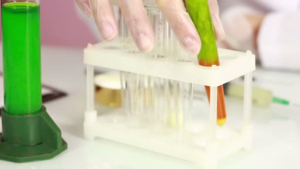 Θηλυκό χημικός συγκρίνοντας δοκιμαστικούς σωλήνες με χημικές ουσίες. προστατευτικά γυαλιά — Αρχείο Βίντεο