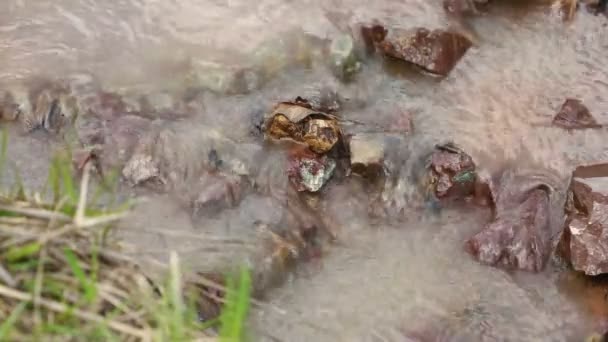 Το πεταμένη μποτίλια που επιπλέει στο ποτάμι — Αρχείο Βίντεο