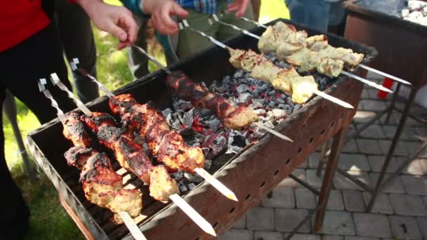 Los trozos jugosos de la carne con la salsa preparan a fuego. brocheta . — Vídeos de Stock