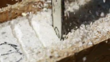 Bir marangoz bir inşaat alanında kontrplak bir parça kesmek için bir elektrik güç daire testere kullandığından talaş dolduruyor. Elektrikli testere