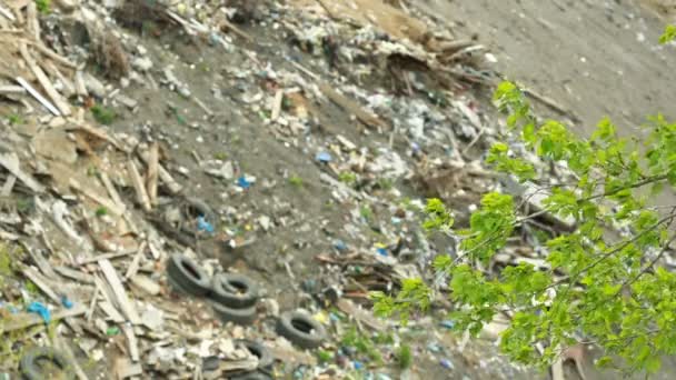 Свалка в городе, большое количество выброшенного мусора — стоковое видео