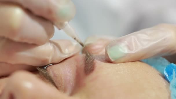 Cosmetólogo aplicando maquillaje permanente en las cejas tatuaje de cejas — Vídeos de Stock