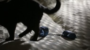 czarny seks kotfilmy dla dorosłych Xhamster