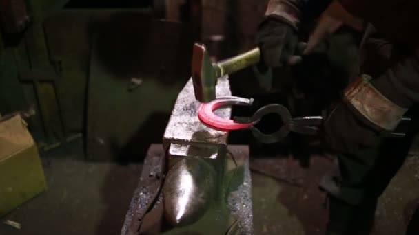 The smith in a smithy forges a horseshoe — Stock Video