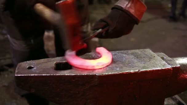 The smith in a smithy forges a horseshoe — Stock Video