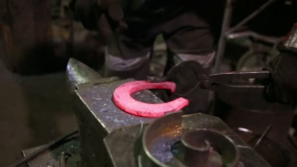 The smith in a smithy forges a horseshoe — Stock Video