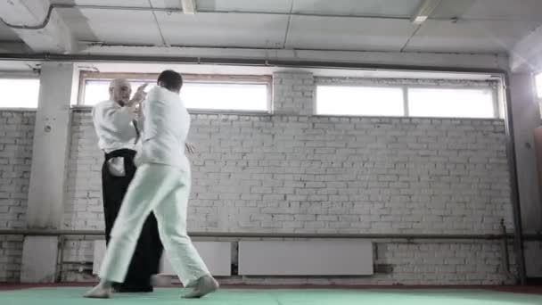 Αθλητές με κιμονό που αποδεικνύουν τεχνικές πολεμικών τεχνών. πολεμικές τέχνες — Αρχείο Βίντεο