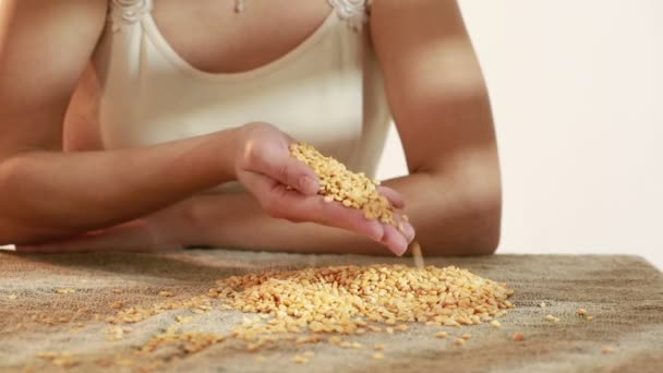 Mano con semillas de guisantes listas para sembrar — Vídeos de Stock