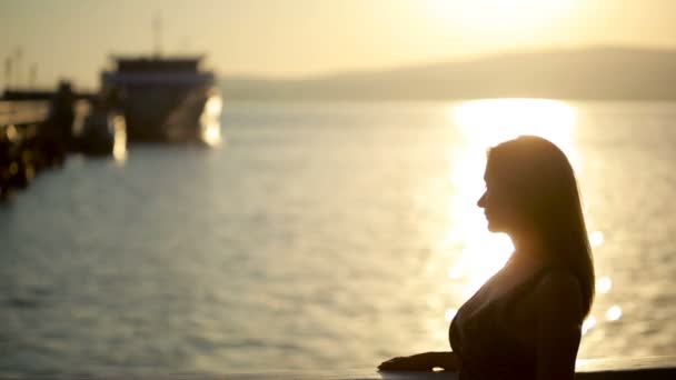 Silhouetted ζευγάρι πιασμένοι και το φιλί στην παραλία. ημερομηνία μπροστά στη θάλασσα — Αρχείο Βίντεο