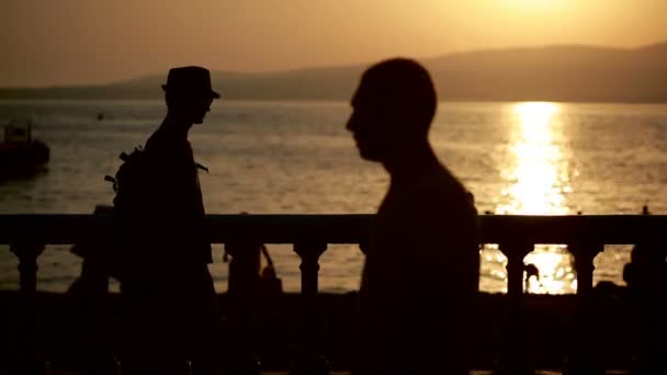 Jeune homme heureux utilisant un smartphone au bord de la mer. promenades touristiques le long de la promenade — Video