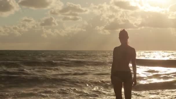 Дівчина стоїть біля моря. великі хвилі. силуетні фігури — стокове відео