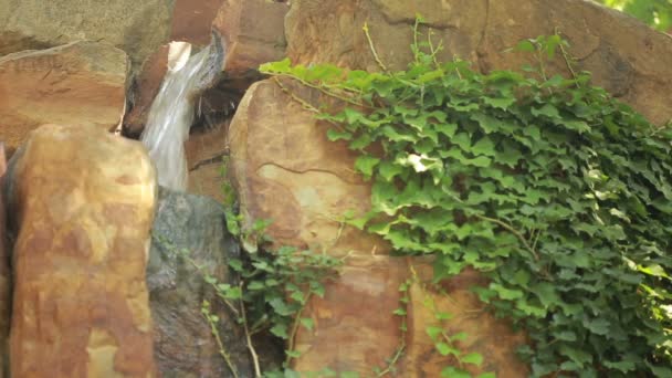 Agua saliendo de un viejo abrevadero de piedra cubierta de musgo — Vídeos de Stock