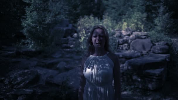 Sorcière dans la forêt la nuit. Vampire Rocks. fantôme. Fantaisie et gothique. Halloween — Video