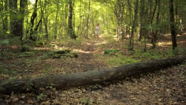 Kvinnan kör genom skogen. Han hoppar över trädet. Fitness idrottsman — Stockvideo