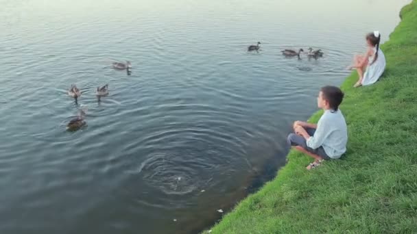 Jongen en meisje voederen van eenden op de vijver. — Stockvideo