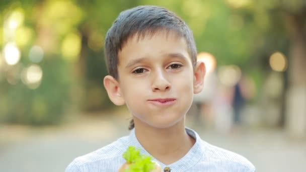 Un ragazzo all'aperto che mangia un hamburger. bambino mangiare un panino in strada — Video Stock