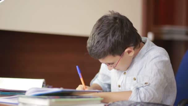 Child writes homework. the child has been studying science — Stock Video