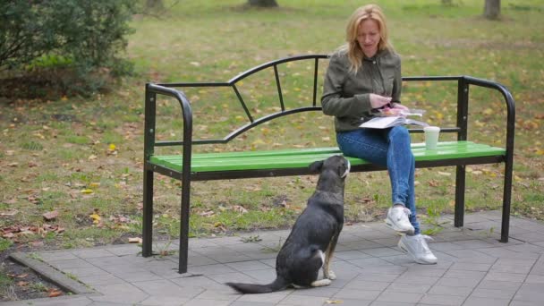 Rubia mujer en un parque alimentando un perro callejero mestizo — Vídeo de stock