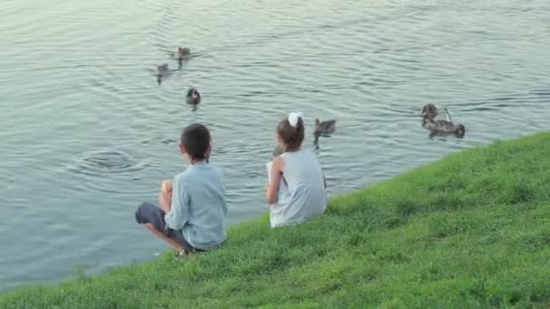 在粉红色的衣服，喂鱼的池塘里的小女孩。湖附近的孩子 — 图库视频影像