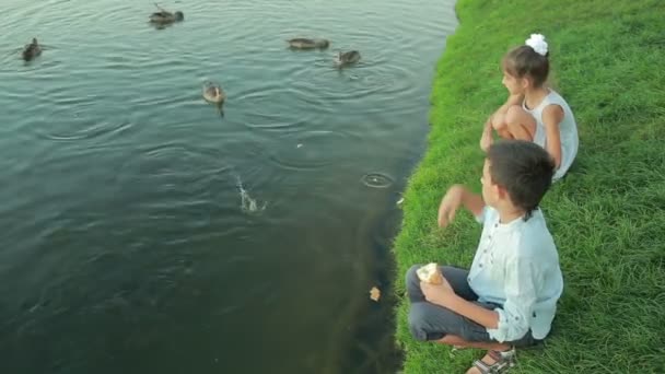 Klein meisje in roze kleding voeden van vissen in een tuin vijver. kind in de buurt van het meer — Stockvideo