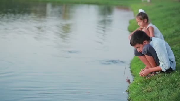 Petite fille en vêtements roses nourrir les poissons dans un étang de jardin. enfant près du lac — Video