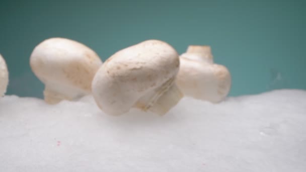 Экстремальный крупный план, подробности. грибы шампанского на сухом льду в густом белом дыму — стоковое видео