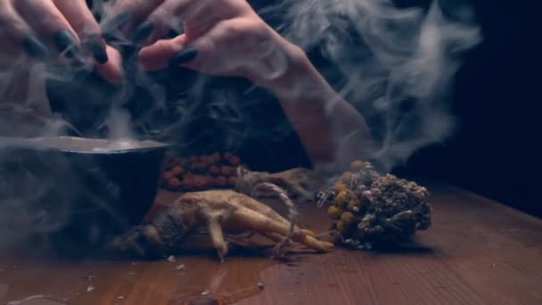 Close-up, gedetailleerd. handen van een heks met zwarte nagels boven een kom dikke rook — Stockvideo