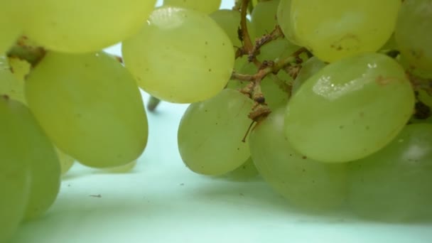 Primer plano extremo, detallado. Uvas verdes con humo blanco sobre fondo azul — Vídeo de stock