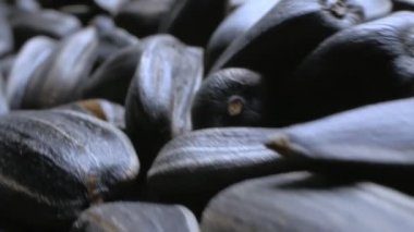 Son derece yakın plan, detaylı. Bir avuç siyah tohum. Boşluğu kopyala