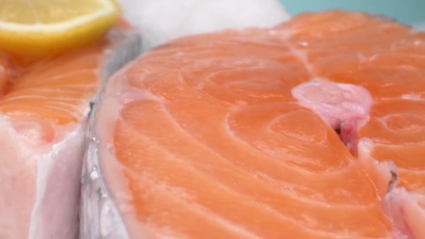 Close-up extremo, detalhado. bife de salmão no gelo. fundo azul — Vídeo de Stock