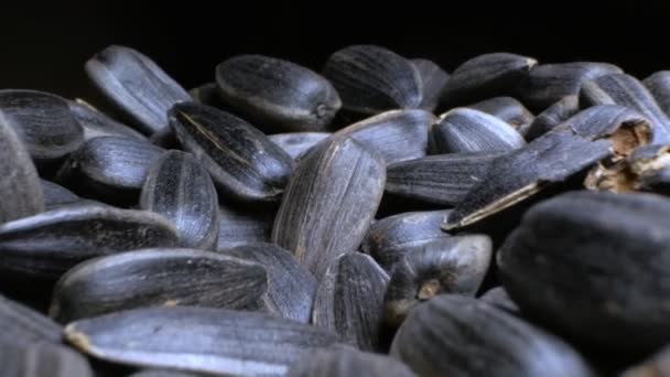 Extrémně detailní, detailní. hromada černých semen. kopírovat prostor — Stock video