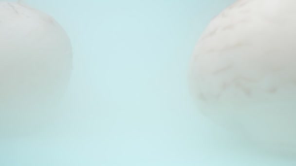 Πολύ κοντινό πλάνο, λεπτομερές. μανιτάρια champignon σε ξηρό πάγο σε παχύ λευκό καπνό — Αρχείο Βίντεο