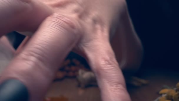 Närbild, detaljerad. händerna på en häxa med svarta naglar ovanför en skål med tjock rök — Stockvideo