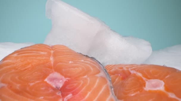 Extreme close-up, detailed. salmon steak on ice. blue background — Stock Footage Extreme close-up, detailed. salmon steak on ice. blue background Royalty Free Stock Video