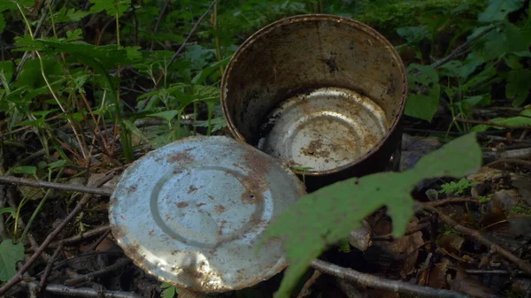 Primo piano. lattina sull'erba nella foresta. problemi di inquinamento ambientale — Foto Stock