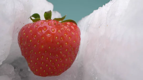 Extremely close-up, detailed. red ripe strawberry between two ice floes — Stock Photo, Image