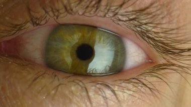 Aşırı yakın plan, detaylı. İnsanların yanıp sönen yeşil gözleri kameraya bakıyor.