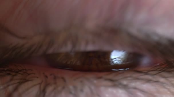 Extreme Nahaufnahme, detailliertes, braunes menschliches Auge mit schwarzen Wimpern — Stockvideo