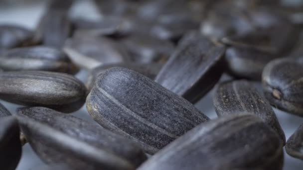 Extrémně detailní, detailní. hromada černých semen. kopírovat prostor — Stock video