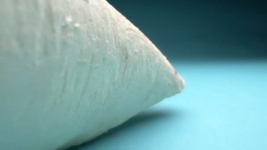 Aşırı yakın plan, detaylı. Mavi arka planda pişmiş bir ineğin içi boş kemiği.