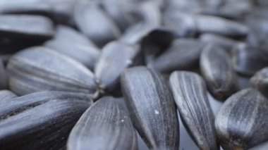 Son derece yakın plan, detaylı. Bir avuç siyah tohum. Boşluğu kopyala