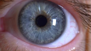 extremely close-up, detailed. one blue human eye